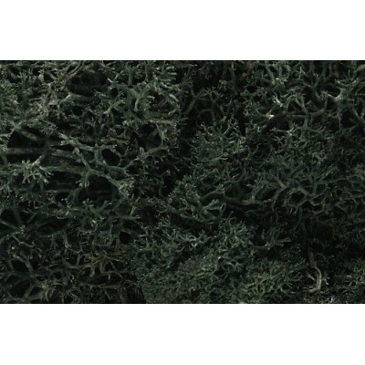 image: Lichen - Dark Green - 1.5qts/1.4L