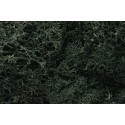 Lichen - Dark Green - 1.5qts/1.4L