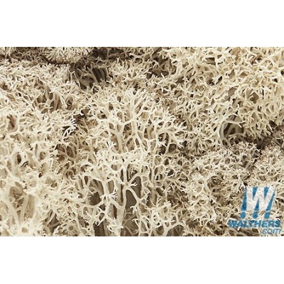 image: Lichen - Natural - 1.5qts/1.4L