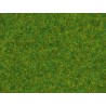Static Grass - Scatter Grass - Lawn - 2.5mm High (20g)