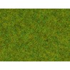 Static Grass - Scatter Grass - Spring Meadow - 1.5mm High (20g)