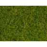 Static Grass - Wild Grass XL - Light Green - 12mm High (40g)