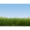 Static Grass - Wild Grass - Dark Green - 6mm - 100g