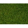 Static Grass - Wild Grass - Light Green - 6mm - 100g