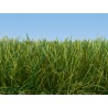 Static Grass - Wild Grass XL - Light Green - 12mm - 80g