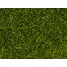 Static Grass - Wild Grass XL - Bright Green - 12mm - 80g