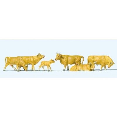 Cows with Light Brown markings (6)